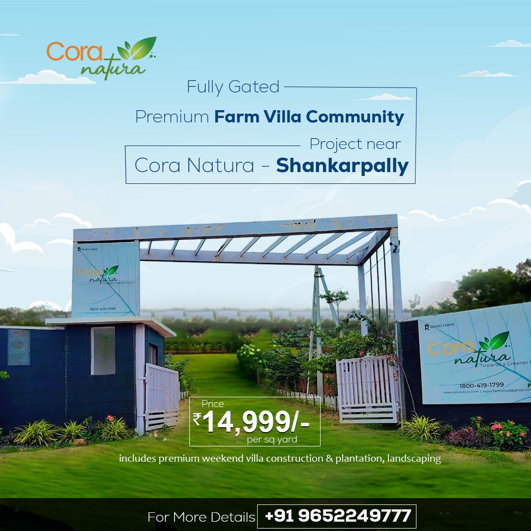 WhatsApp-Image-2025-12-30-at-12.19.36-PM-1